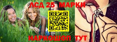 индика Нальчик