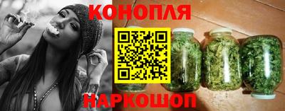 индика Нальчик