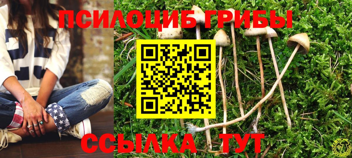 Галлюциногенные грибы Magic Shrooms Арзамас