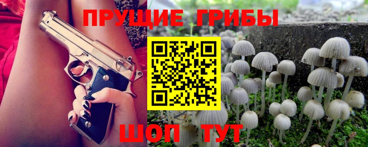 Галлюциногенные грибы мицелий  Вход с VPN  Арзамас  где продают   Псилоцибиновые грибы Psilocybe 